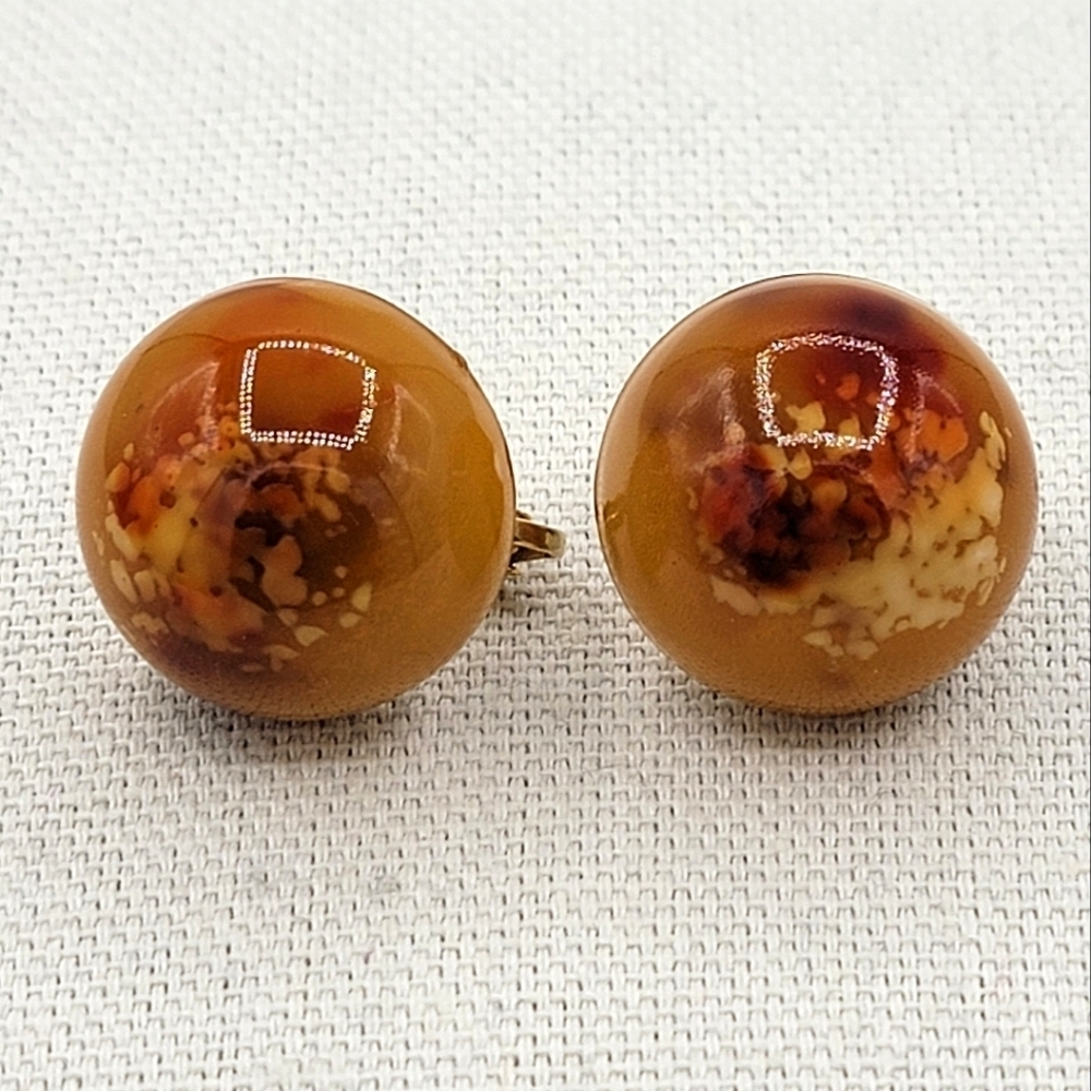 Vintage Fall Colored Earrings #2357